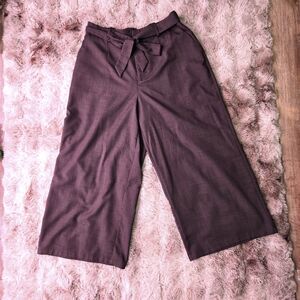 Cider High Waisted Wide Leg Pants Brown Tie Belt Pleated Trousers Size 1XL